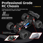 WLtoys 244018 1:24 2WD Off-Road RC Climbing Car 30 km/h